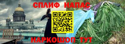 МДПВ Гусев
