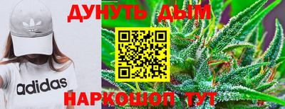 гидропоника Гусиноозёрск