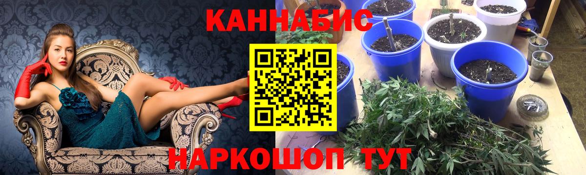 Бошки Шишки Ganja  Вход с VPN  Бошки марихуана Amnesia  Конопля индика  Ирбит 